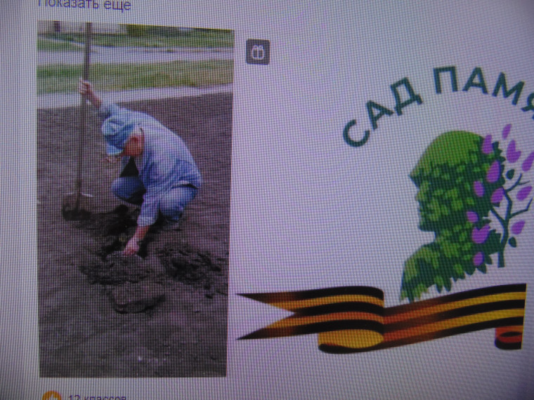 ВСЕРОССИЙСКАЯ АКЦИЯ "САД ПАМЯТИ". ВСЕРОССИЙСКАЯ АКЦИЯ "САД ПАМЯТИ".